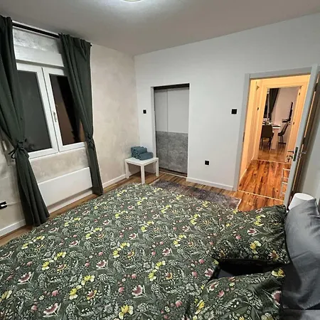 Apartment Miletic *